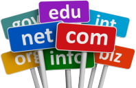 Free domain name